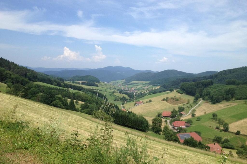 Haus Alle Jahreszeiten Willingen (Upland) Exterior photo